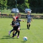 Nogomet : turnir Zarje U 11