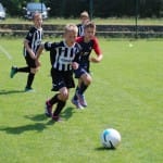 Nogomet : turnir Zarje U 11