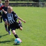 Nogomet : turnir Zarje U 11
