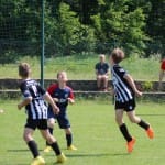 Nogomet : turnir Zarje U 11