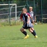 Nogomet : turnir Zarje U 11