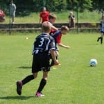 Nogomet : turnir Zarje U 11