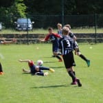 Nogomet : turnir Zarje U 11