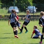 Nogomet : turnir Zarje U 11