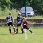 Nogomet : turnir Zarje U 11