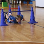 ZSŠDI: v Dolini finale Jezikovnega poligona