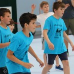 final meddvema ognjema