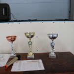 final meddvema ognjema