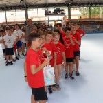 final meddvema ognjema