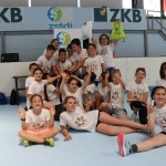 final meddvema ognjema