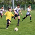 Under 11: Sovodnje - Pro Gorizia