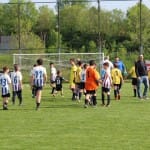 Under 11: Sovodnje - Pro Gorizia