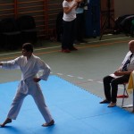 Karate pokal Zgonik