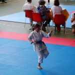 Karate pokal Zgonik