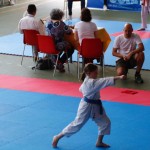 Karate pokal Zgonik