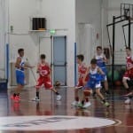 Košarka Trofeja ZSŠDI U 13