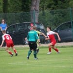 Nogomet turnir zarja u 15