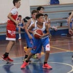 Košarka Trofeja ZSŠDI U 13