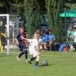 Nogomet : Memorial Boris Primosi U 13