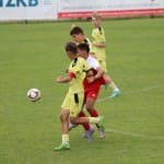 Nogomet turnir zarja u 15