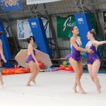Ritmićna gimnastika : Borova zakljućna akademija