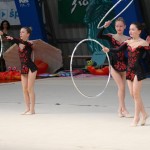 Ritmićna gimnastika : Borova zakljućna akademija