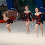 Ritmićna gimnastika : Borova zakljućna akademija