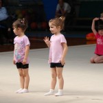 Ritmićna gimnastika : Borova zakljućna akademija