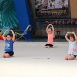 Ritmićna gimnastika : Borova zakljućna akademija