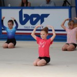 Ritmićna gimnastika : Borova zakljućna akademija