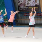 Ritmićna gimnastika : Borova zakljućna akademija