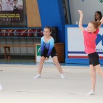 Ritmićna gimnastika : Borova zakljućna akademija
