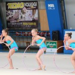 Ritmićna gimnastika : Borova zakljućna akademija