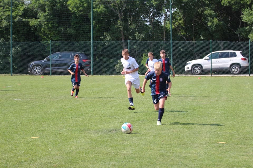 Bazovica