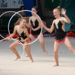 Ritmićna gimnastika : Borova zakljućna akademija