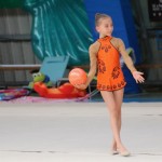 Ritmićna gimnastika : Borova zakljućna akademija