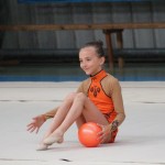 Ritmićna gimnastika : Borova zakljućna akademija