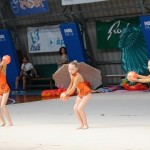 Ritmićna gimnastika : Borova zakljućna akademija