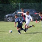 Nogomet : Memorial Boris Primosi U 13