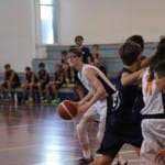 Košarka Trofeja ZSŠDI U 13