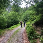 Planinke in planinci AŠD Mladina iz Ovčje na planino Raunas