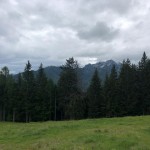 Planinke in planinci AŠD Mladina iz Ovčje na planino Raunas