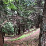 Planinke in planinci AŠD Mladina iz Ovčje na planino Raunas