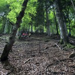 Planinke in planinci AŠD Mladina iz Ovčje na planino Raunas