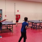 Zgonik gibalna govorica