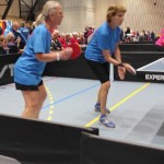 evropesko veteransko prvenstvo