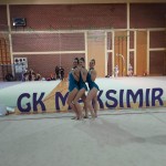 Bogata dejavnost Borovih ritmičark