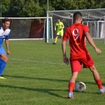 Italijanski in deželni pokal