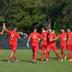 Italijanski in deželni pokal