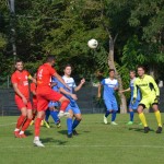 Italijanski in deželni pokal